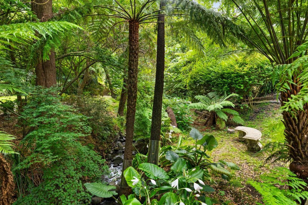 Paddys Creek Retreat Villa Upwey ภายนอก รูปภาพ