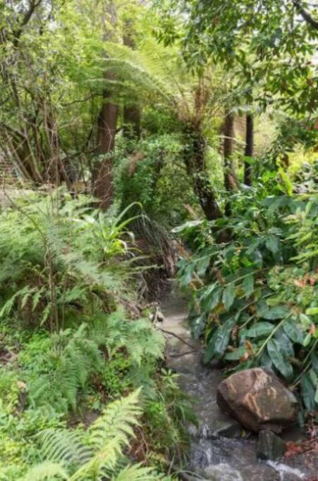 Paddys Creek Retreat Villa Upwey ภายนอก รูปภาพ