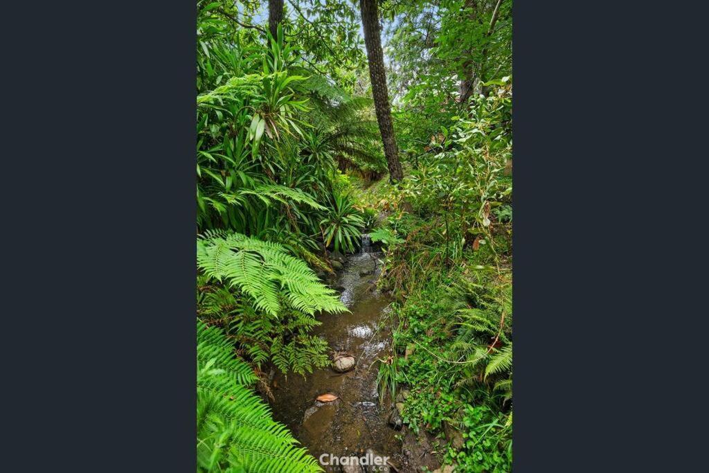 Paddys Creek Retreat Villa Upwey ภายนอก รูปภาพ
